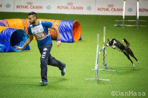 AWC Mondiali di Agility a Bologna: due passioni che interagiscono, fotografia e Agility Dog